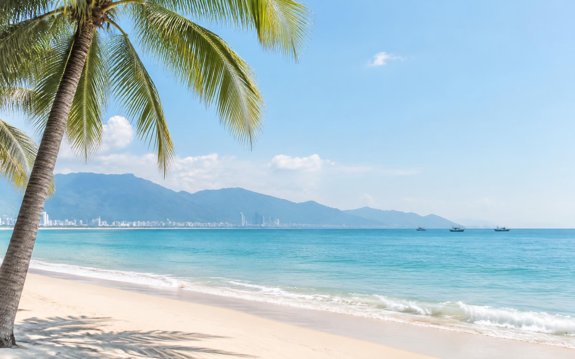 Palm tree over a turquoise bay in Da Nang